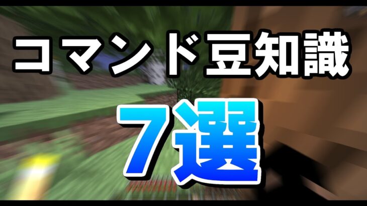 コマンド勢しか知らない豆知識７選【マイクラコマンド】