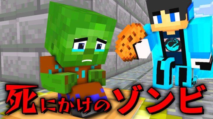 【マイクラ】死にそうなゾンビを助けられるか？貧乏ゾンビを助けろ【マインクラフト 】【まいくら】