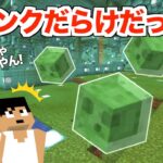 【大量発生】じゃじゃ島地下・・・「スライムチャンク」だらけだった＃２４２【カズさんワールド】マイクラ