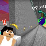 絶叫する、穴掘りおじさん登場！＃２４５【カズさんワールド】マイクラ