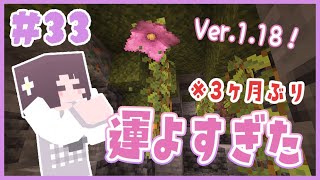 【マイクラ】1.18にアップデート！3か月ぶりにマイクラしたらミラクル起き過ぎて草。くるみのマイクラ実況 #33【マインクラフト/Minecraft/建築/サバイバル拠点】