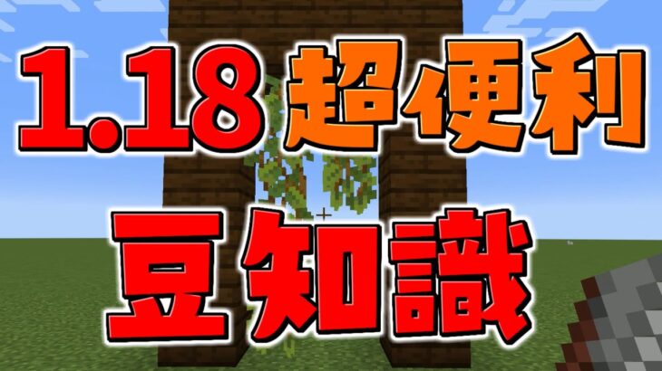 【マイクラ】バージョン1.18でできるようになった建築豆知識【#Shorts/ゆっくり実況/マインクラフト/Minecraft】