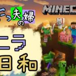 【生配信】ぽんこつ夫婦のバニラ日和 11日目【マイクラ】