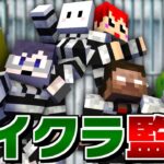 【マインクラフト】絶対に笑ってはいけないマイクラ監獄24時 一気見・未公開シーン【赤髪のとも/ぴくと/MSSP/我々だ！】