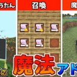 魔法のじゅうたんや魔法の杖、召喚で遊べる！魔法アドオン三選！【マイクラ統合版/BE】【アドオン】【ゆっくり実況】