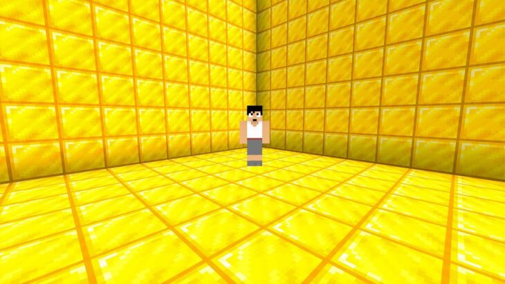 金を無限にGETできる場所を発見しました？！PART344【マイクラ】