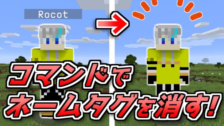 【マイクラJava最新版対応】超簡単なネームタグの消し方！【コマンド】