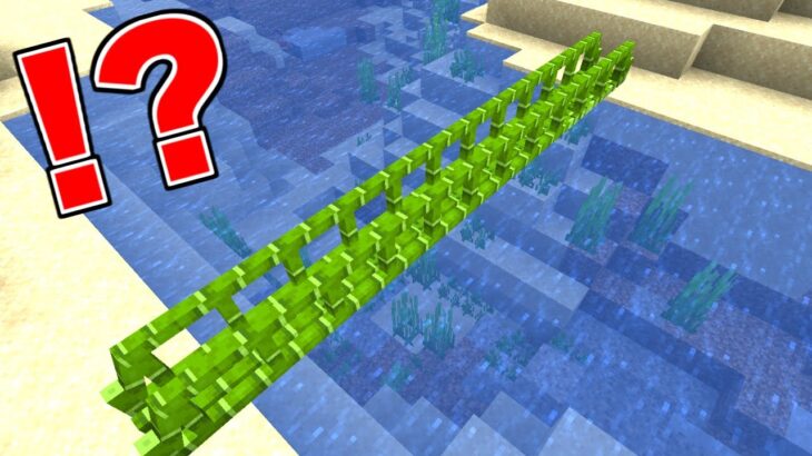 Modなしでこの橋が出来る 最新のバグ技 裏技が本当なのか検証した結果ｗｗ マイクラ Minecraft Summary マイクラ動画