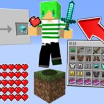 【マインクラフト】自分で作ったMODを使ったら1マスでも余裕でエンドラ倒せんじゃね？