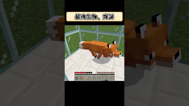 【マイクラ】裏技でキツネが最強に！MODはいりません！【minecraft】 #shorts