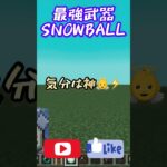 【Minecraft】マイクラ最強武器『雪玉』 The strongest weapon snowball #minecraft #マイクラ #マインクラフト