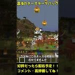 【マイクラ】最強の魔法の杖で村を襲ってみた【Minecraft】#Shorts