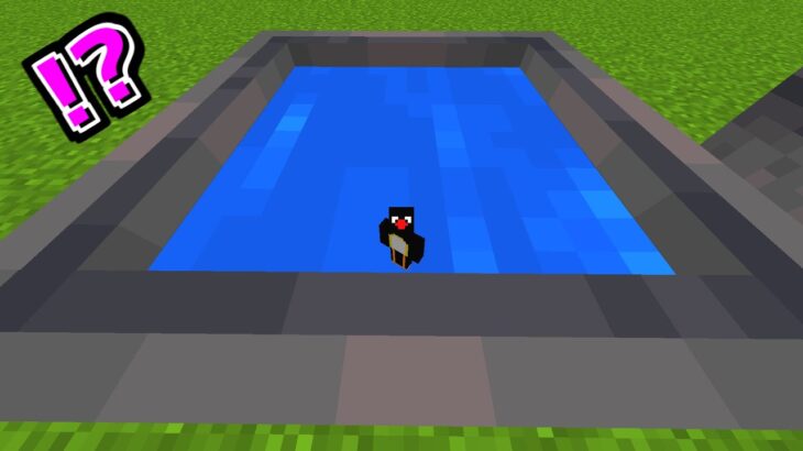 マイクラ検証 小さくなって水の入った大釜に飛び込んだら 溺れてしまうのか ゆっくり実況 マインクラフト Shorts Minecraft Summary マイクラ動画