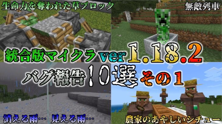 【統合版マイクラ】Ver1.18.2 マイクラのバグ10選～その1～ 統合版マインクラフト・バグ報告会【Switch/Win10/PE/PS4/Xbox】