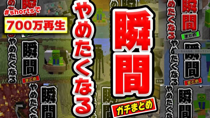 【shortsで700万回再生】マイクラやめたくなる瞬間まとめ【マインクラフト】