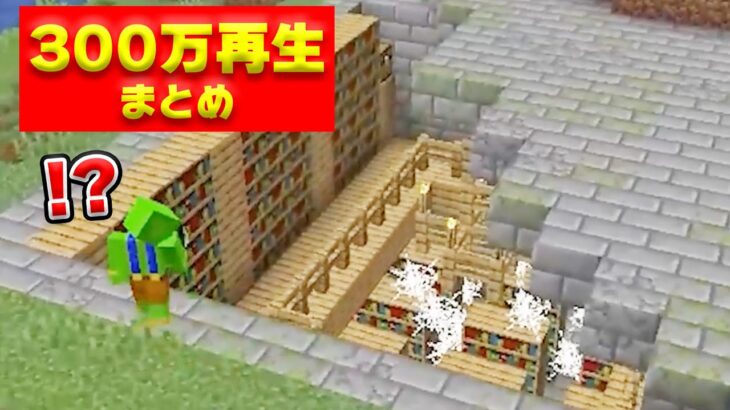 【shortsで700万回再生】マイクラ初心者vsプロまとめ【マインクラフト】