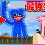 ハギーワギーに変身してサバイバルしたら最強すぎた!!【マイクラ/まいくら】