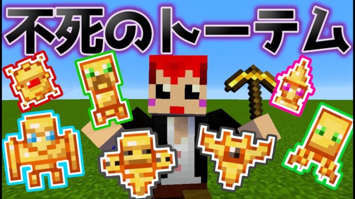 マイクラなのに 不死のトーテムの種類がたくさん増えた!!【赤髪のとも/あかがみん】