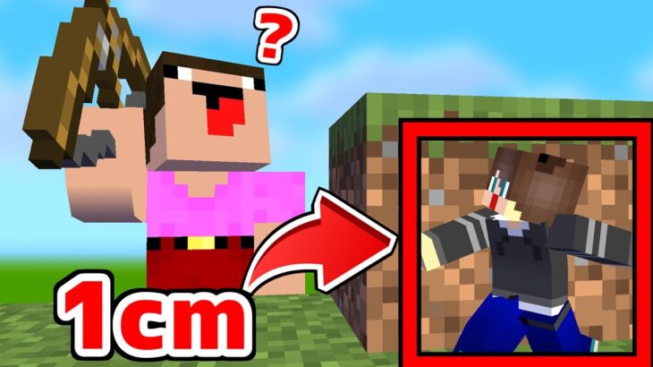 小さくなって弓で狙ってくる巨人から逃げろ！！！！【マイクラ】【マインクラフト】