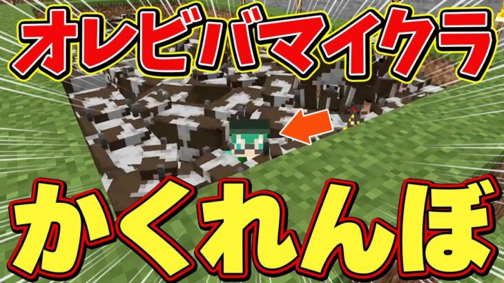 【マイクラ】オレビバでかくれんぼ大会を開催したら、難易度高すぎたｗｗ【オレ達の遊ビバ】