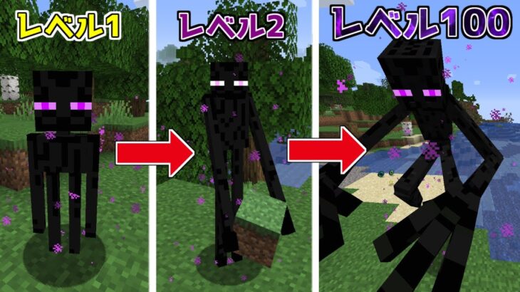 【マイクラ】どんどん強くなるエンダーマンに変身してサバイバルしてみた結果！？【ゆっくり実況】【マインクラフト】【まいくら】