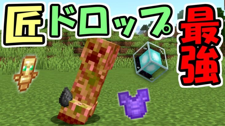 マインクラフト 匠のドロップが最強な世界がヤバすぎた マイクラ 面白データパック Minecraft Summary マイクラ動画