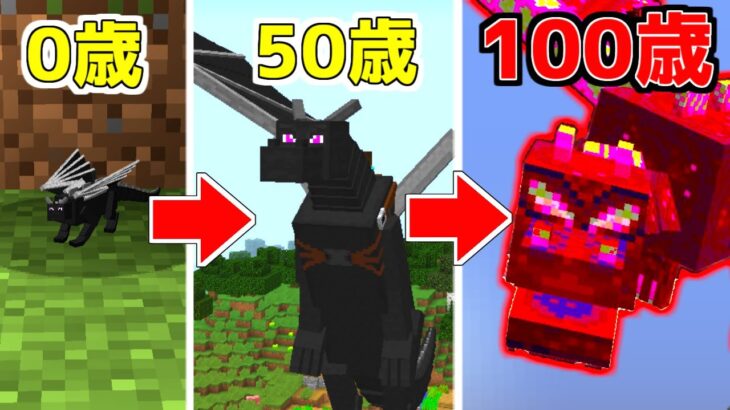 【マイクラ】ドラゴンになってどんどん歳をとったら最強になった！？【ゆっくり実況】【マインクラフト】【まいくら】