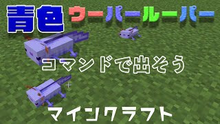 青色ウーパールーパーをコマンドで出そう！（マインクラフト）