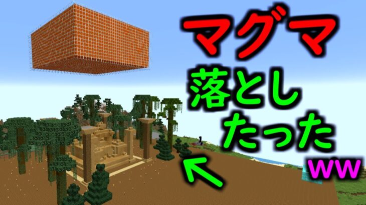 マイクラサーバーで木造建築の上から大量のマグマ落とした時の反応wwww