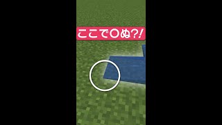 たった1ピクセルの水でもおぼれちゃう！？【マイクラ豆知識 解説 裏技】