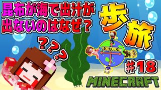 【マイクラ 】見た目は大人！中身は子供ｗｗ 100,000ｍ離れた仲間と合流！　part18