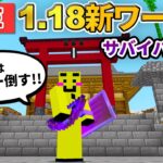 🔴【マイクラLive】今年最後は、ウィザー討伐で締させていただきます配信