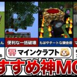 【マイクラ】知らないと大損！おすすめ神MOD10選