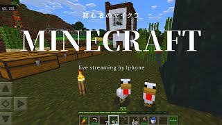 【Minecraft】マイクラ 1.17 小さな家では無くなったかもしれない  モククラ生配信 Live streaming:  It might not be a small house