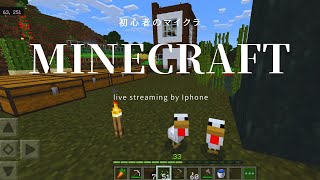 【Minecraft】マイクラ 1.17 小さな家の周辺整備  モククラ生配信 Live streaming:  To organize around a small house