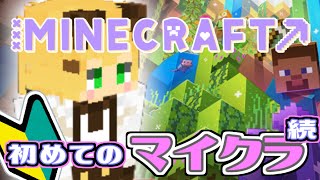 【Minecraft】続・初めてのマインクラフト　家の床を木にするよ