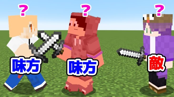 【マインクラフト😜】勘で敵を倒せ！「味方わからんPVP」「マイクラ実況」