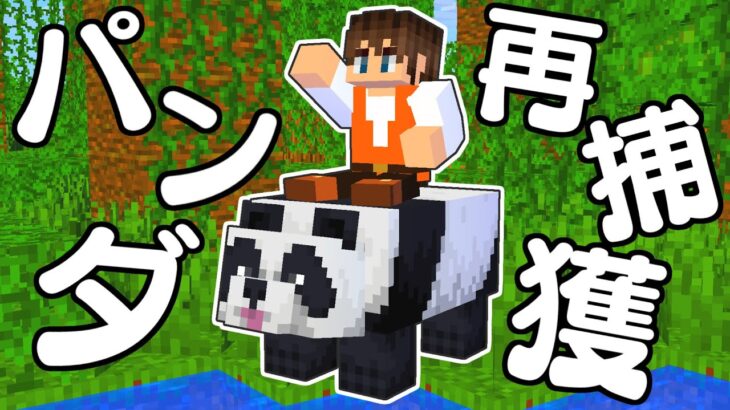 消えたパンダを取り戻せ!!どうやってジャングルから連れてくる?マイクラ実況Part455【マインクラフト】