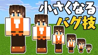 体が小さくなるバグ技を発見!!これは便利すぎないか!?マイクラ実況Part474【マインクラフト】