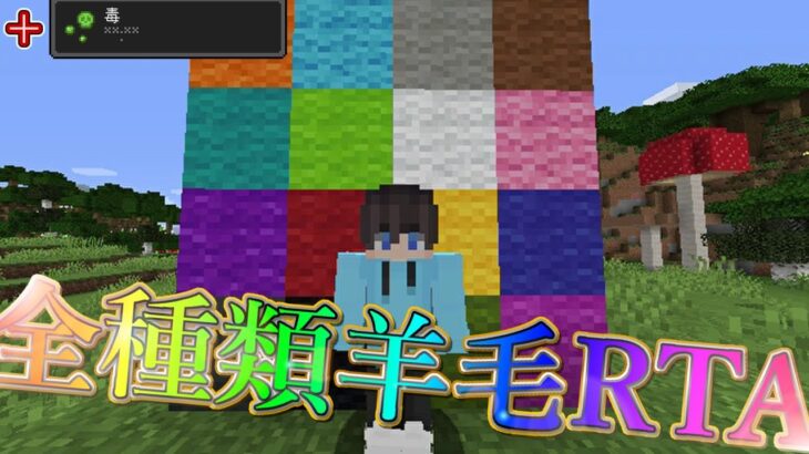 マイクラ 全種類羊毛rta 毒 マインクラフト Minecraft Minecraft Summary マイクラ動画