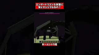 エンダードラゴンを奈落に落とすとどうなる？【検証】【マイクラ】【ゆっくり実況】 #Shorts