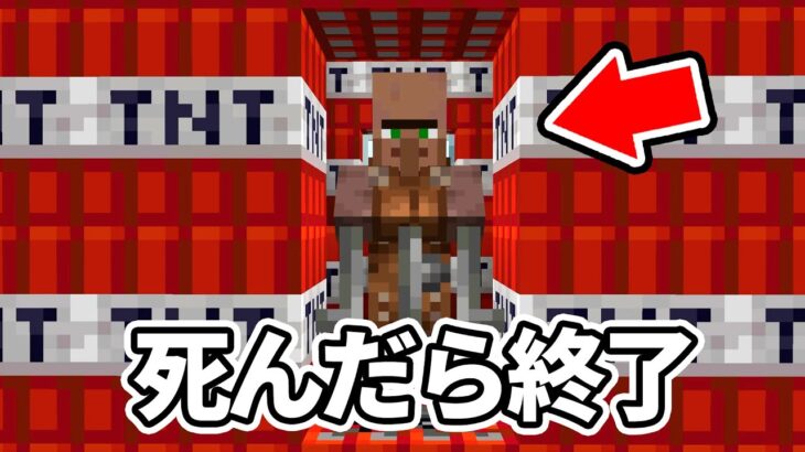 TNT村に住む村人を死なせたら即終了【マイクラ】