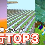 本当にしんどい・・・マイクラの苦行TOP3【カズさんワールド】