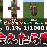 【マイクラ】超低確率で出会える激レアmodたち