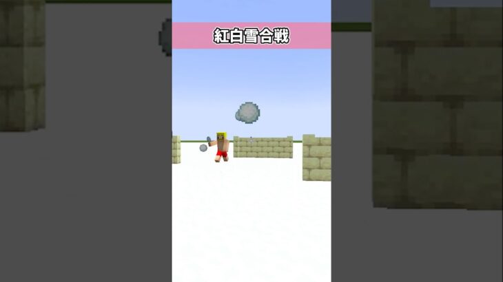 マイクラ紅白雪合戦！！#shorts#ドズル社#マイクラ