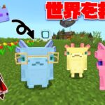 【マイクラ】悪を倒してウーパールーパーの世界を救え！！【ゆっくり実況】【配布マップ】