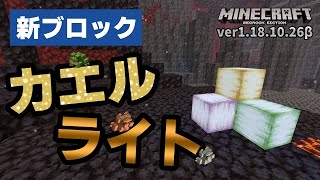 【ベータ版】【自動回収機付き】新ブロック『カエルライト』は玄武岩の三角州で取り放題！？【マイクラ統合版】【ゆっくり実況】