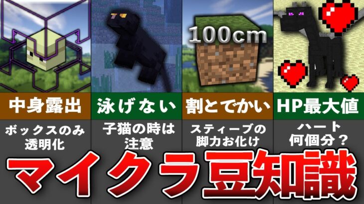 意外と知らないマイクラ豆知識 ゆっくり解説 Minecraft Summary マイクラ動画