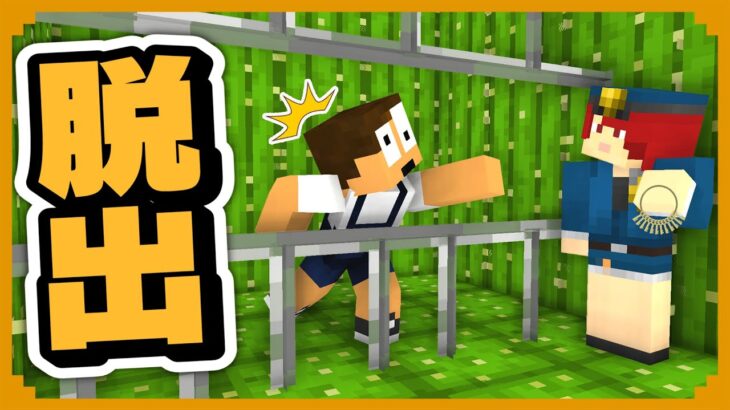 全てがサボテンの刑務所に閉じ込められた！？脱獄しろ！！【マイクラ・まいくら】