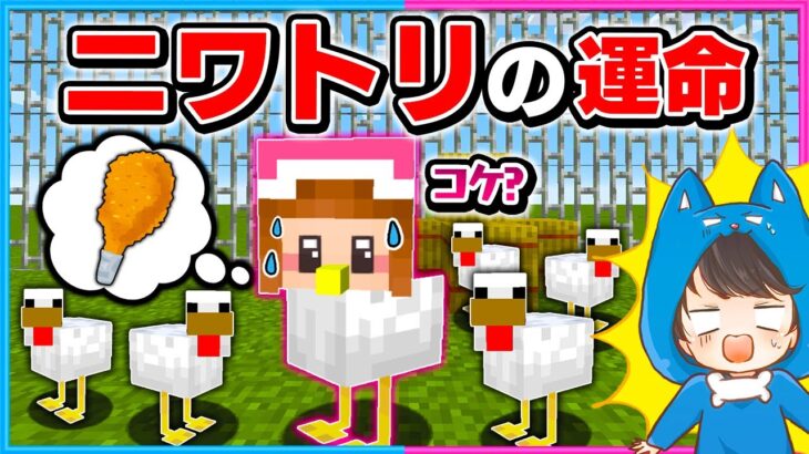 ニワトリとして生きる運命は超大変だった…！？🐔🍗【マイクラ/まいくら】